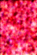 Generated Image