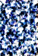 Generated Image