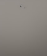 Generated Image