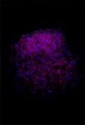 Generated Image