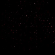 Generated Image