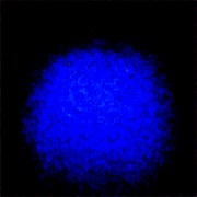 Generated Image