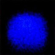 Generated Image
