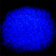 Generated Image