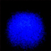 Generated Image